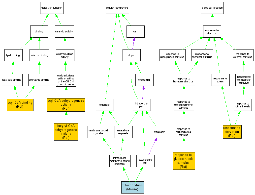 Acyl-CoA