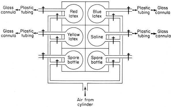 Latex injection apparatus