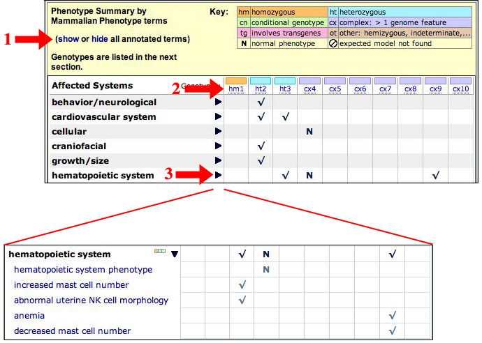 Phenotype Summary