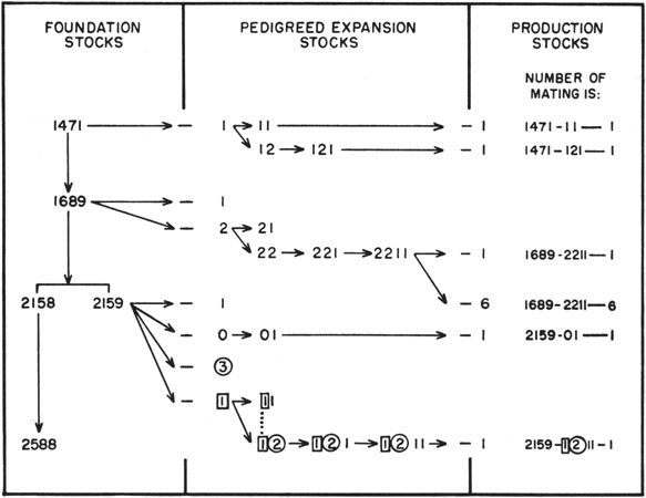 number system blind