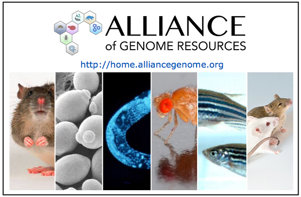 MGI-Mouse Genome Informatics-The International Database Resource For ...