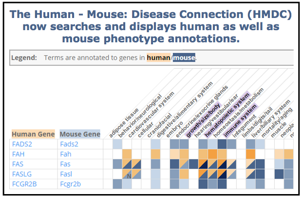 MGI-Mouse Genome Informatics-The International Database Resource For ...