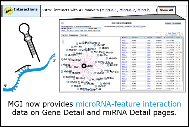 MGI-Mouse Genome Informatics-The International Database Resource For ...