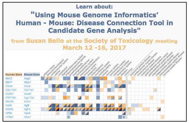 MGI-Mouse Genome Informatics-The International Database Resource For ...