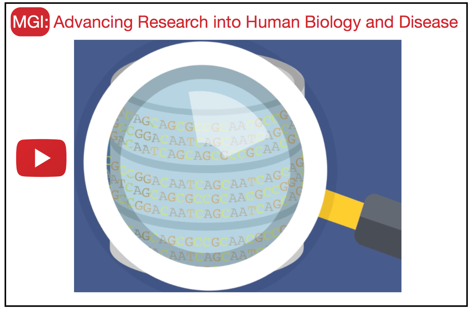 MGIMouse Genome InformaticsThe international database resource for