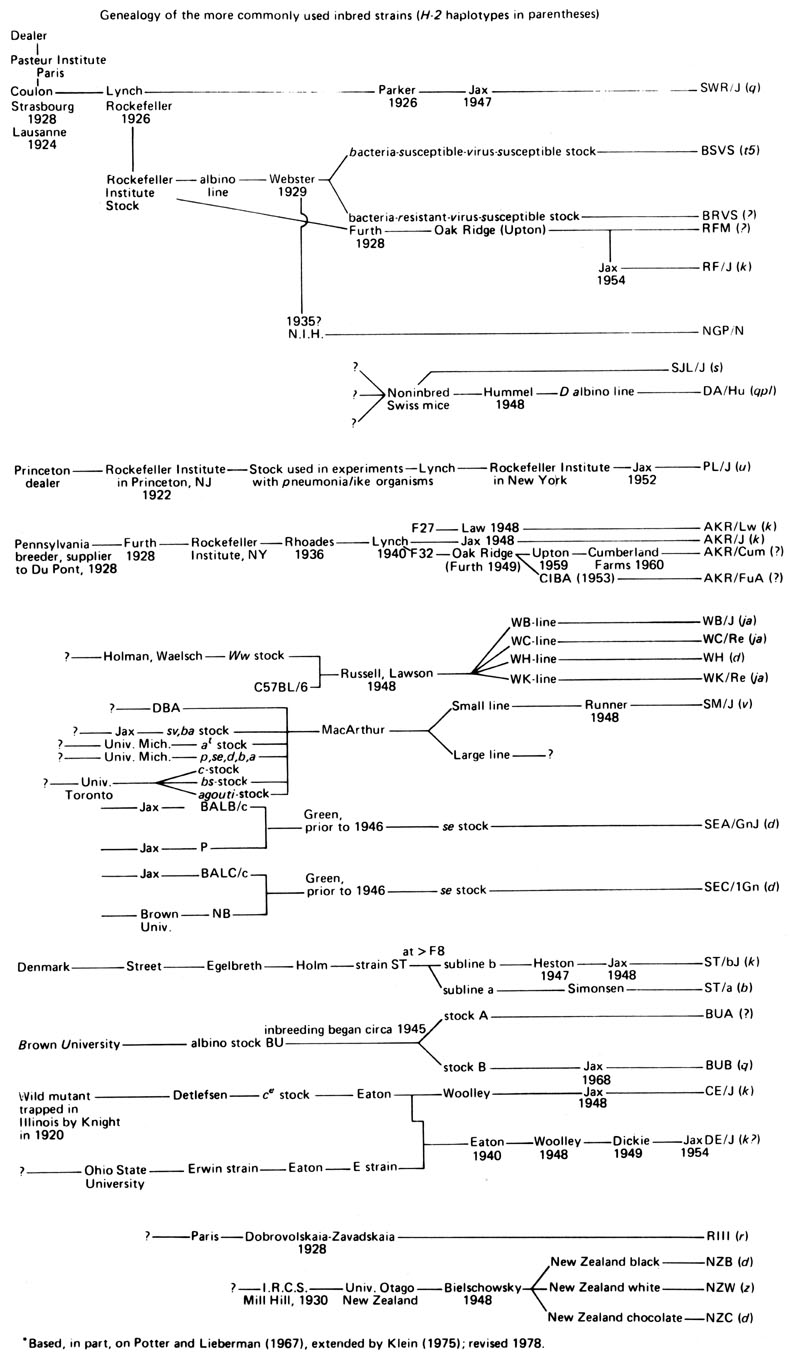 Genealogy of Inbred Mice