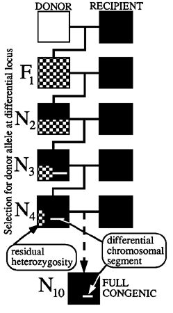 Figure 3.4