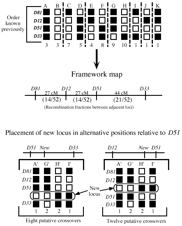 Figure 9.15