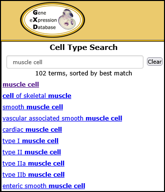 Muscle Cell selected