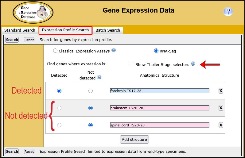 GXD Expression Profile Search