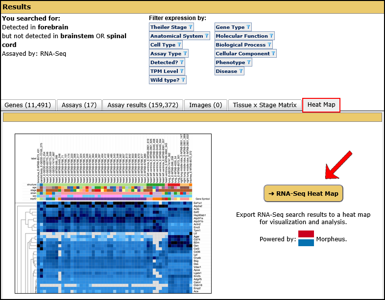 GXD Summary Heat Map Tab