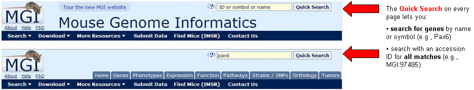 New MGI Quick Search