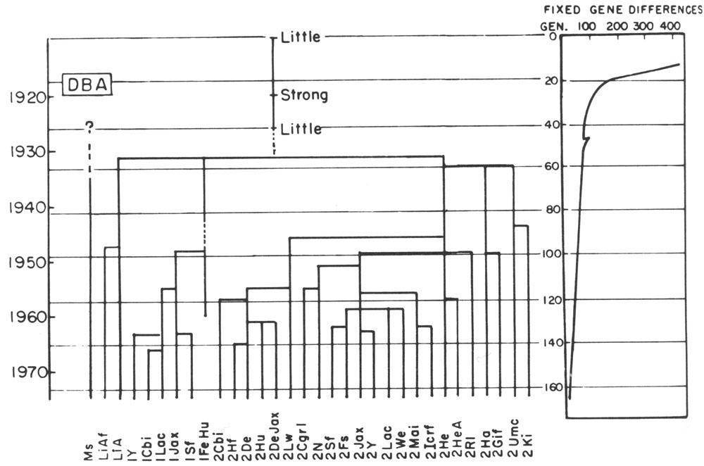 Origins of Inbred Mice - Figure 15-4F